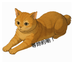 768680924
