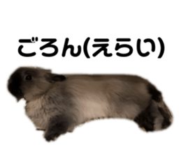 768695783
