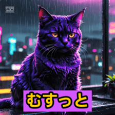 768696171