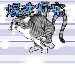 768706131