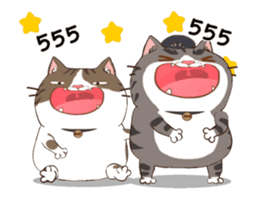 76870640