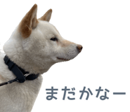 768706825