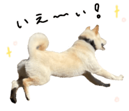768706830