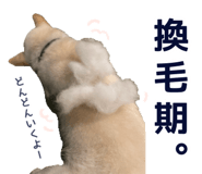 768706835