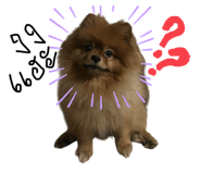 768737153