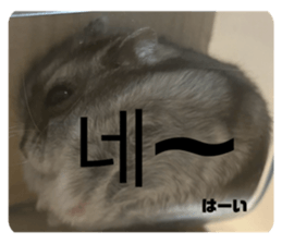 768742565