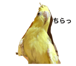 768748197