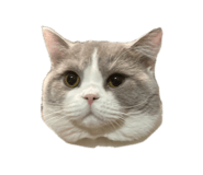 768748380