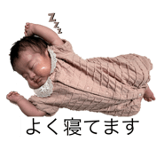 768749010