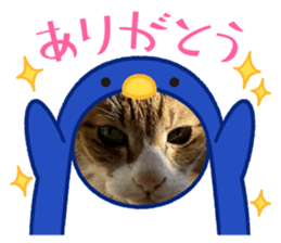 768751480