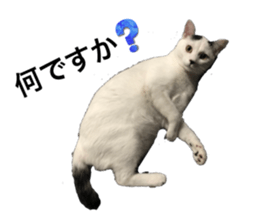 768753025