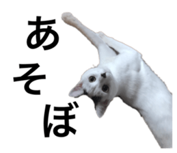 768753027
