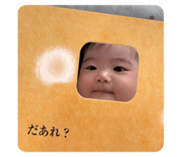 768753181