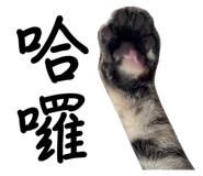 768759774