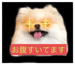 768793930