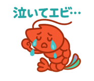 768799504