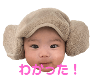 768800243
