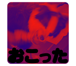 768801608