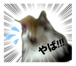 768802370