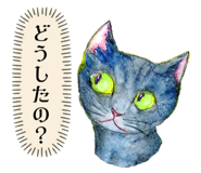 768802714
