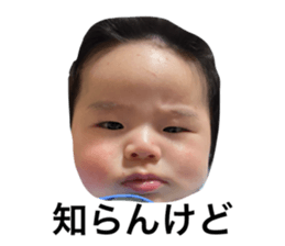 768816251