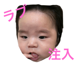768816260