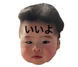 768816271