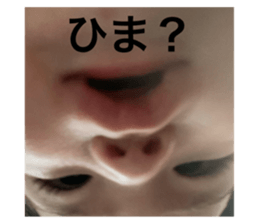 768816272