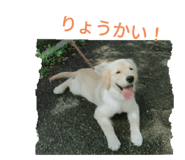 768848135