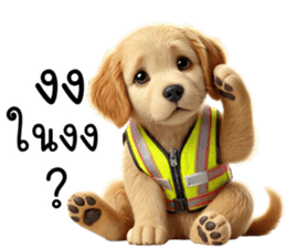768851623
