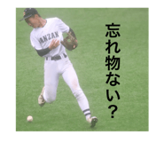 768853417