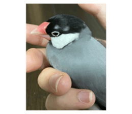 768853886