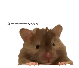 768857649
