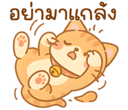768857793