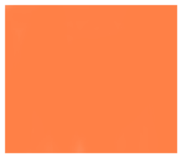 768860217