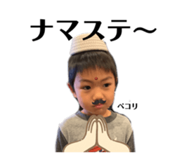 768864619