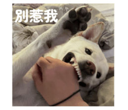 768868143