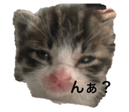 768870728