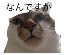 768870801