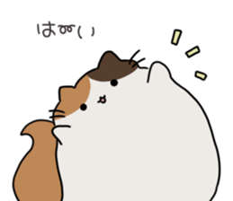 768874997
