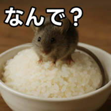 768887429