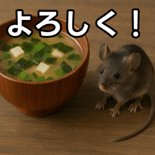 768887489