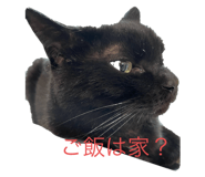 768891740