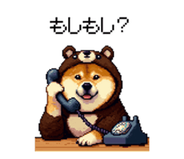 768892620