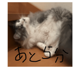 768953270