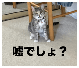 768966355
