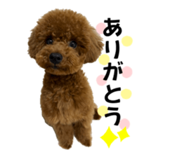 768970297