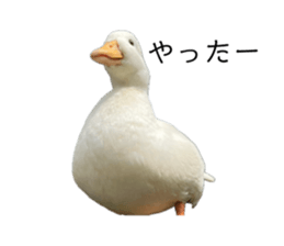 768977401