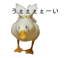 768977402