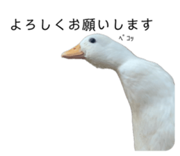 768977408